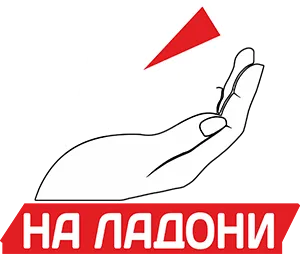 Главная